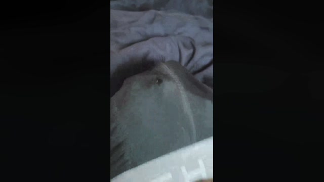 jeunemale5_sexy  02-08-2022
